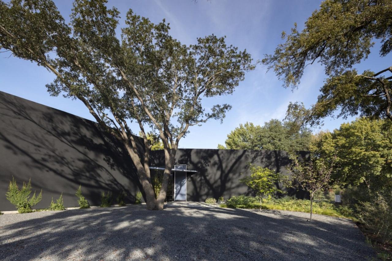 long black home surrounded by trees